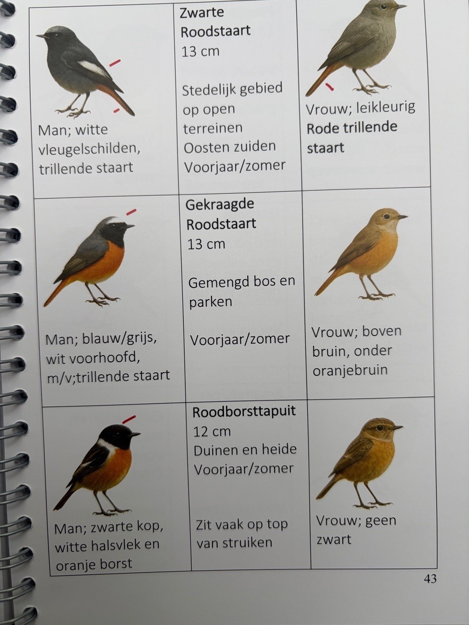 De makkelijkste Vogelgids voor beginners