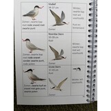 De makkelijkste Vogelgids voor beginners