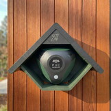 BirdWeather PUC - Bat Edition