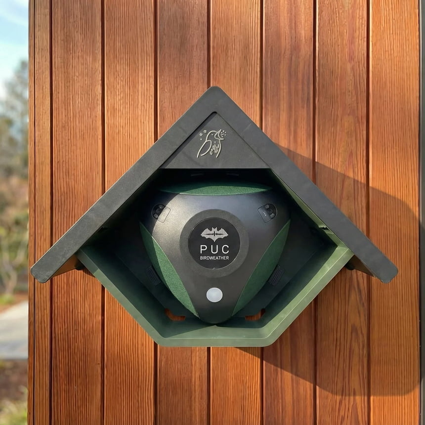 BirdWeather PUC - Bat Edition