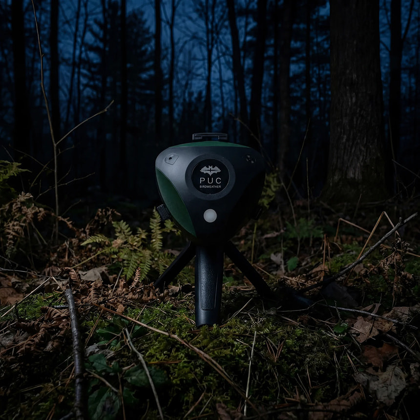 BirdWeather PUC - Bat Edition
