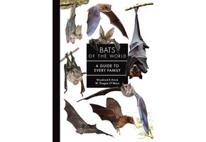 Bats of the World