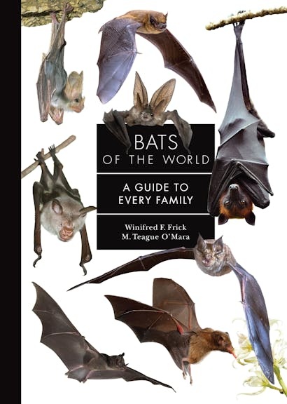 Bats of the World: A Guide to Every Family