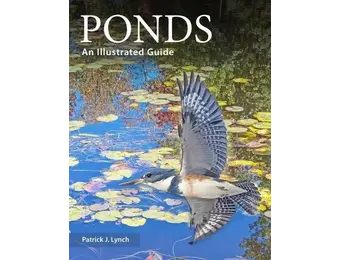 Ponds - An Illustrated Guide