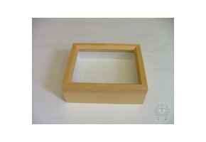 Hölzerner Insektenkasten mit Glasdeckel 15 x 23 x 6 cm 