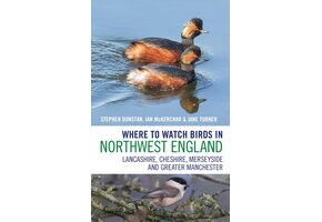 Where to Watch Birds in Northwest England