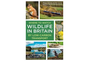 Where to Watch Wildlife in Britain
