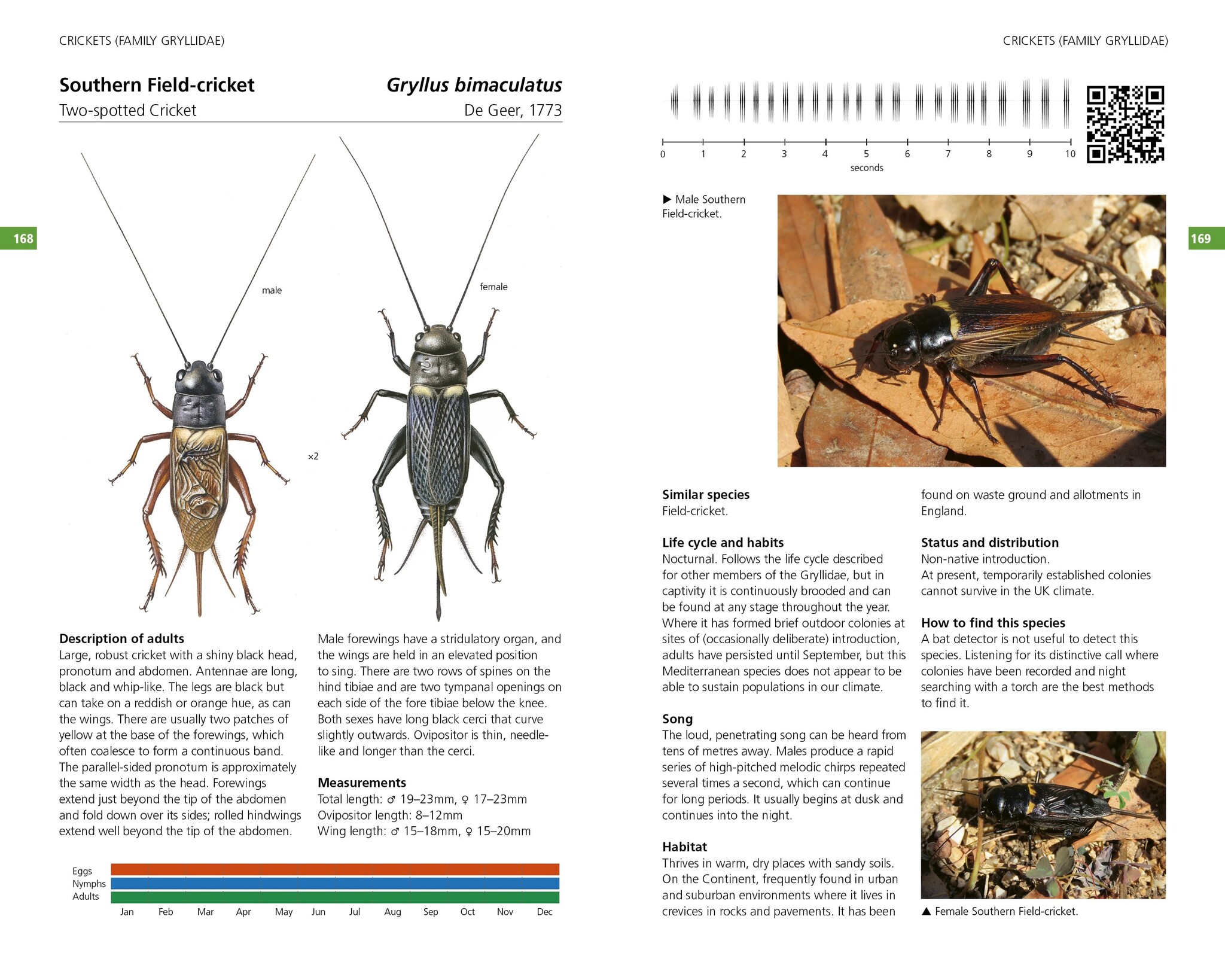 Field Guide to the Grasshoppers and Allies of Great Britain and Ireland