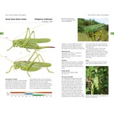 Field Guide to the Grasshoppers and Allies of Great Britain and Ireland
