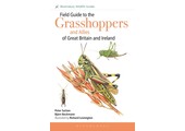 Field Guide to the Grasshoppers and Allies of Great Britain and Ireland