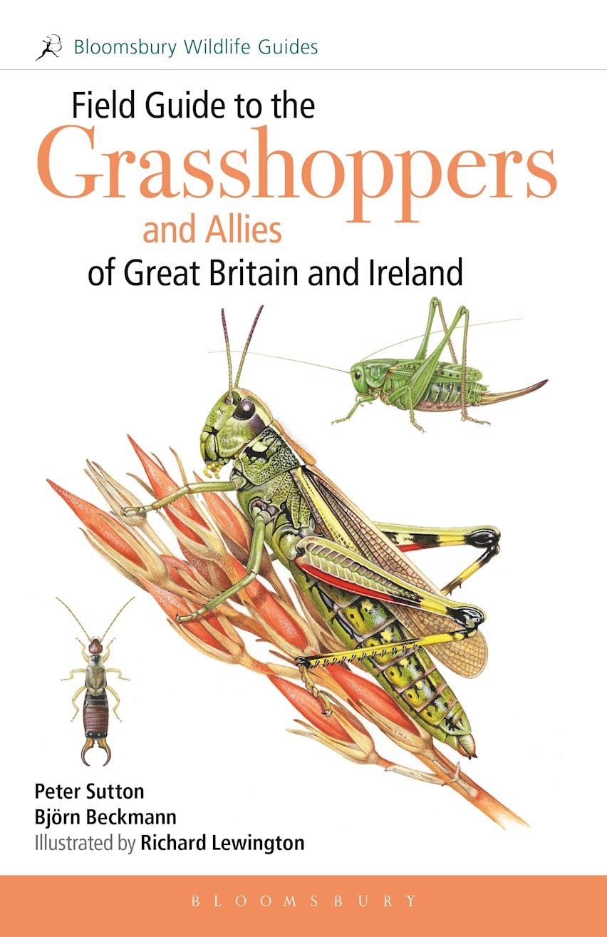 Field Guide to the Grasshoppers and Allies of Great Britain and Ireland