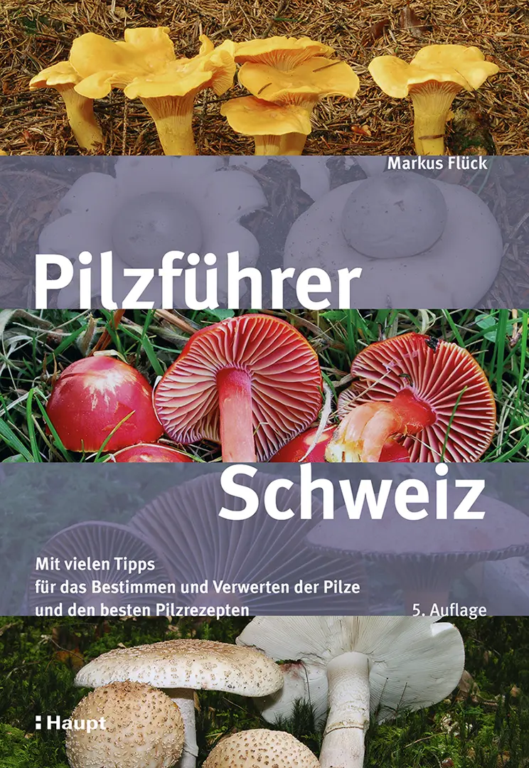 Pilzführer Schweiz