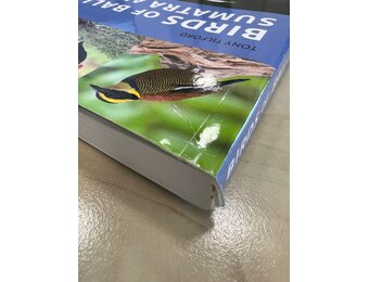 Beschadigd exemplaar - Birds of Bali, Sumatra and Java