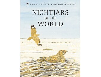 Nightjars of the World