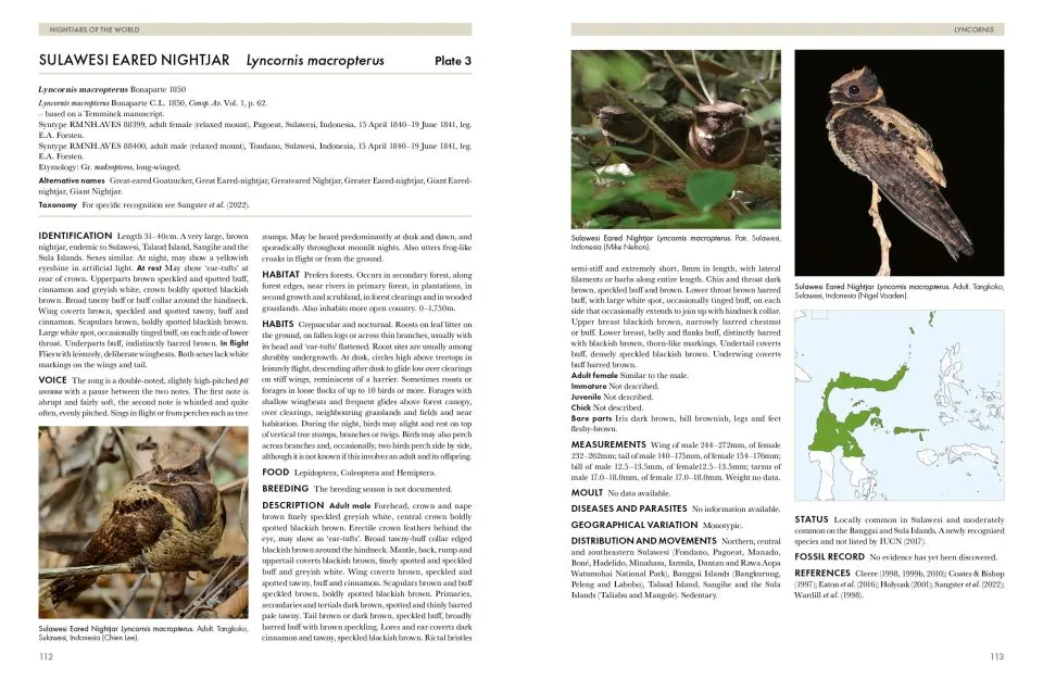 Nightjars of the World