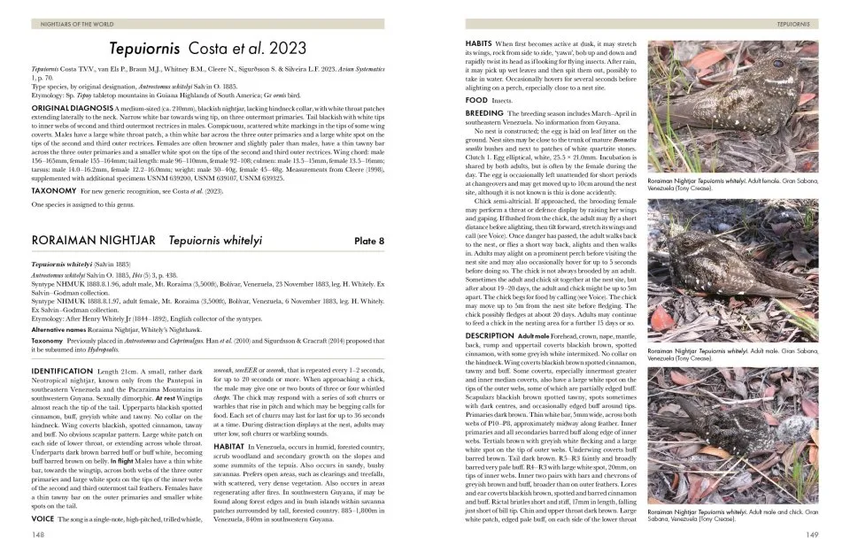 Nightjars of the World