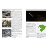 Nightjars of the World