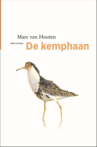 De kemphaan