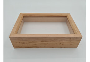Wooden insect box with glass lid 15 x 23 x 6 cm 