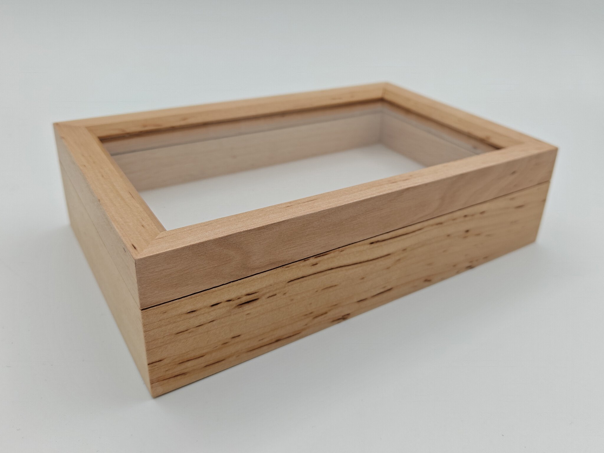 Wooden insect box with glass lid 15 x 23 x 6 cm