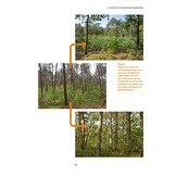 Natuurvolgend bosbeheer - Voor rendabel, biodivers en prachtig bos