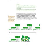 Natuurvolgend bosbeheer - Voor rendabel, biodivers en prachtig bos