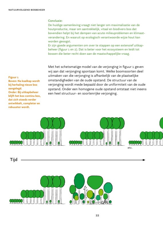 Natuurvolgend bosbeheer - Voor rendabel, biodivers en prachtig bos