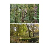 Natuurvolgend bosbeheer - Voor rendabel, biodivers en prachtig bos