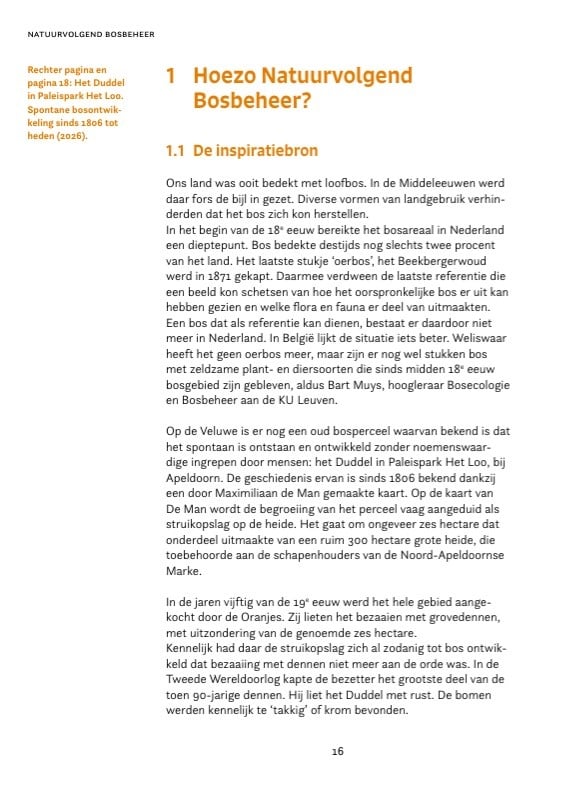 Natuurvolgend bosbeheer - Voor rendabel, biodivers en prachtig bos