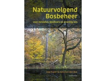 Natuurvolgend bosbeheer