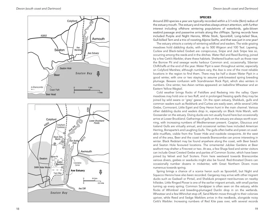 Where to Watch Birds in Devon and Cornwall