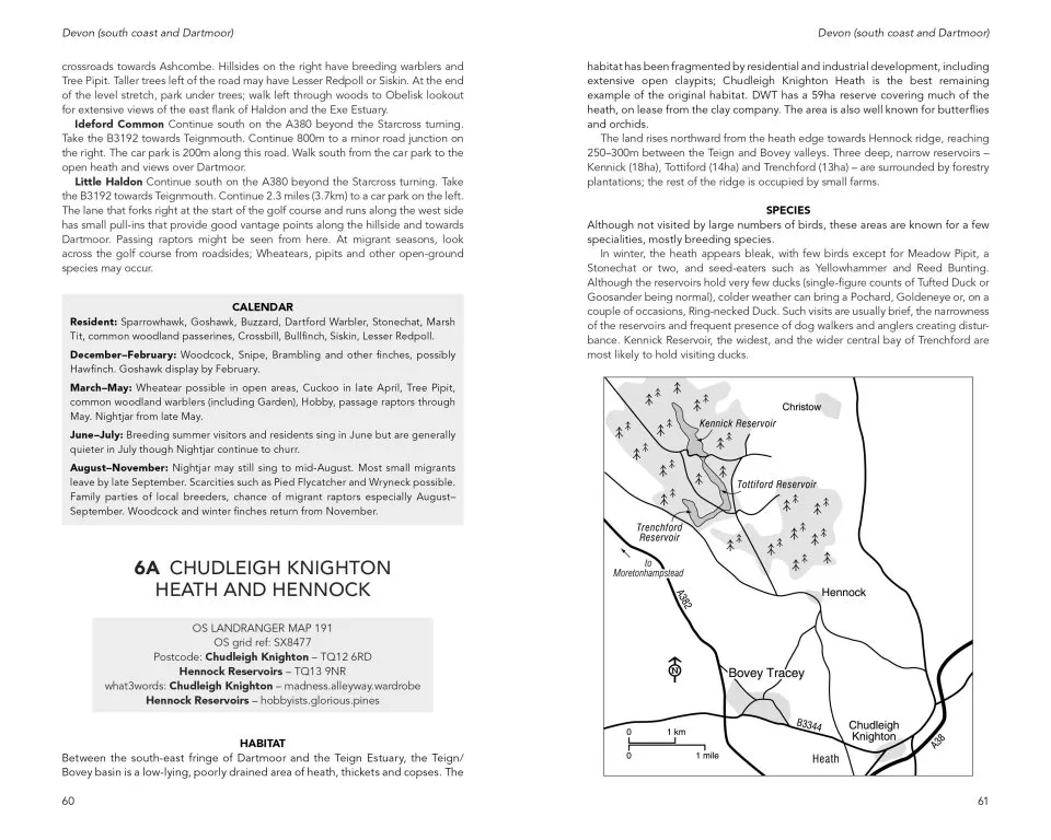 Where to Watch Birds in Devon and Cornwall