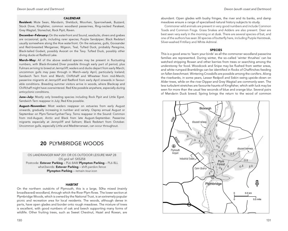 Where to Watch Birds in Devon and Cornwall