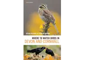 Where to Watch Birds in Devon and Cornwall