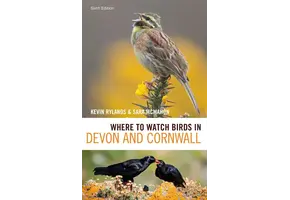 Where to Watch Birds in Devon and Cornwall