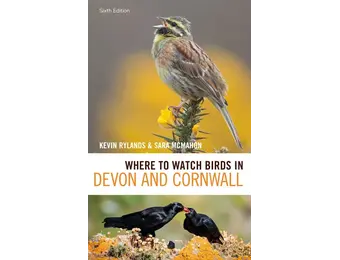 Where to Watch Birds in Devon and Cornwall