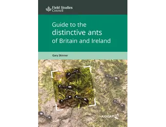 Guide to the Distinctive Ants of Britain and Ireland