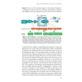 Marine Biological Invasions