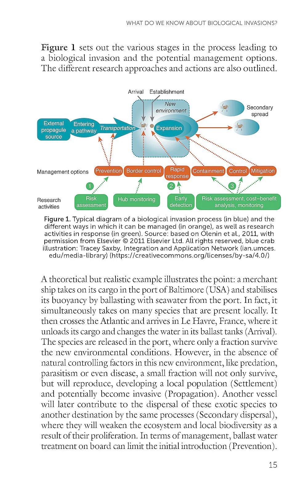 Marine Biological Invasions