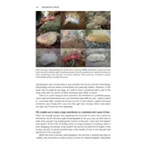 Pan-species listing - How to Become a Super-Naturalist