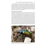 Pan-species listing - How to Become a Super-Naturalist