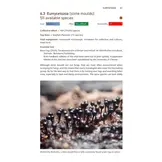 Pan-species listing - How to Become a Super-Naturalist