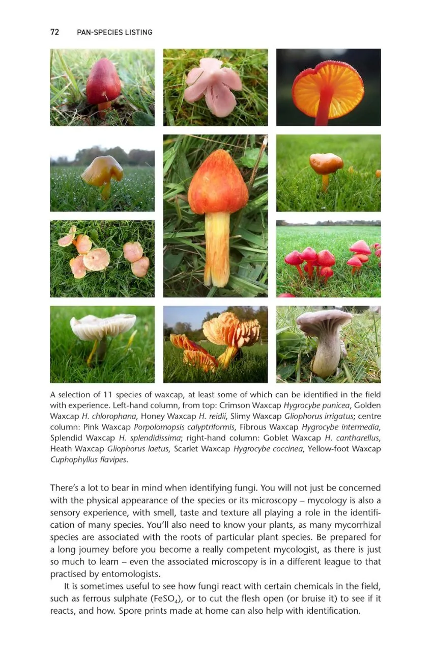 Pan-species listing - How to Become a Super-Naturalist