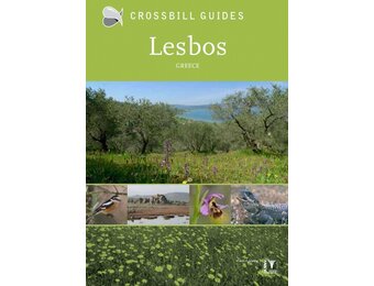 Crossbill Guide Lesbos