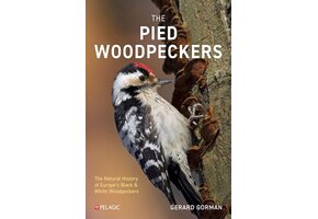 The Pied Woodpeckers