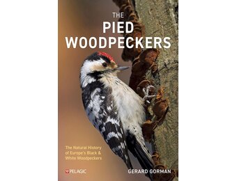 The Pied Woodpeckers