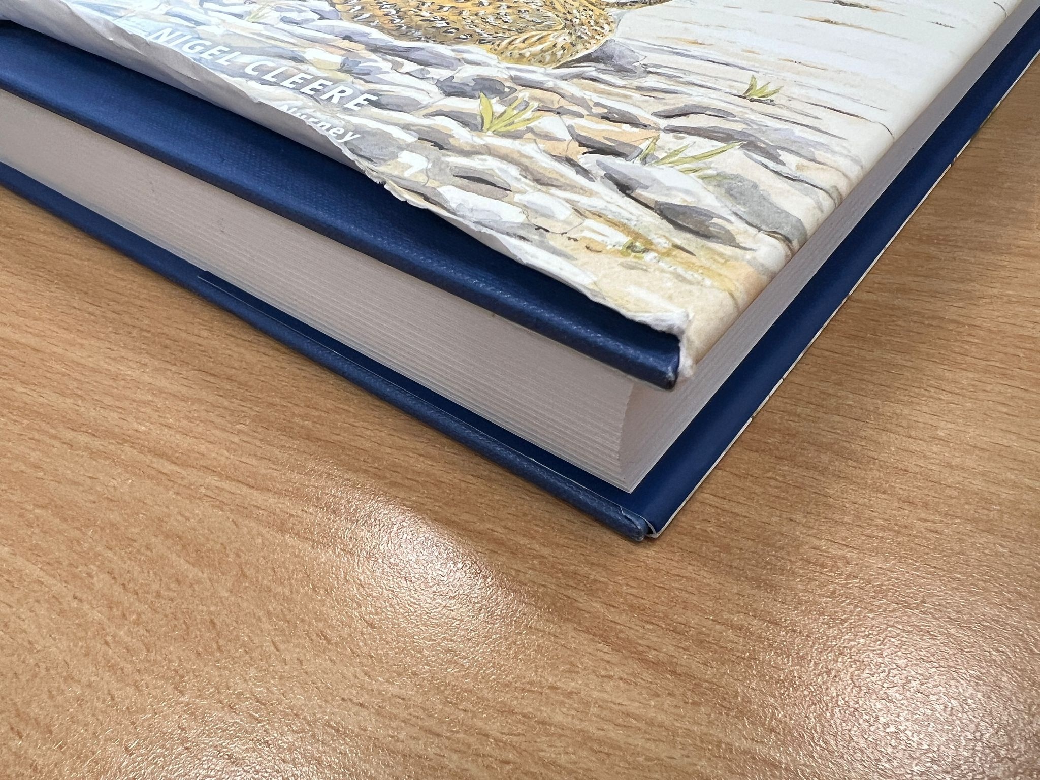 Beschädigte Kopie - Nightjars of the World