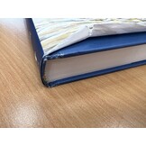 Beschädigte Kopie - Nightjars of the World