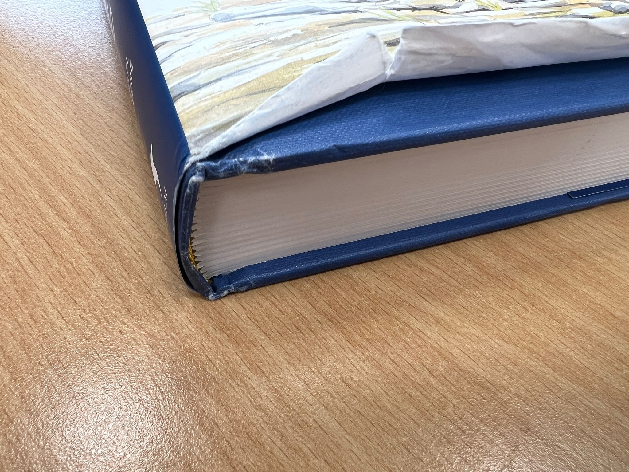 Beschädigte Kopie - Nightjars of the World