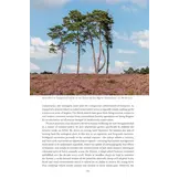 European Deserts - Sandy Wilderness on a Green Continent